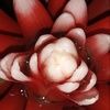 heatherw2266